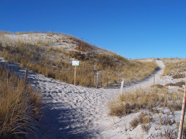 The trails are marked at each intersection. This is a fork on the red trail.