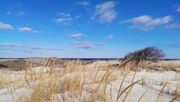 Photo by Deb Wysong, 