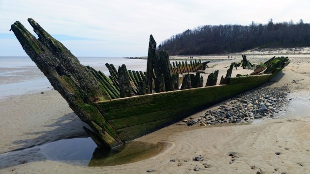 ada-k-damon-4-12-2020