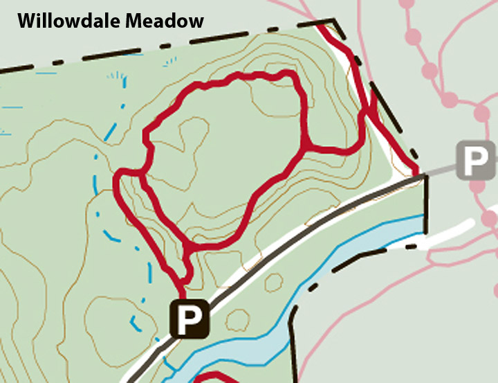 willowdale_meadow