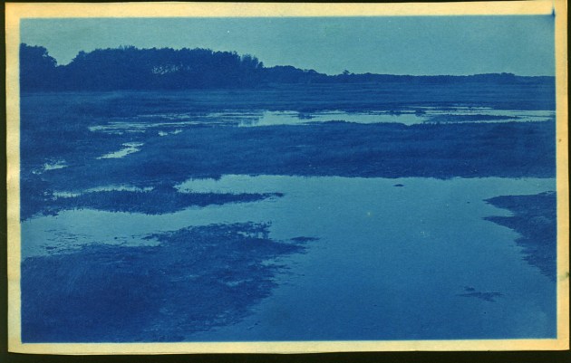 Wet marsh cyanotype by Arthur Wesley Dow