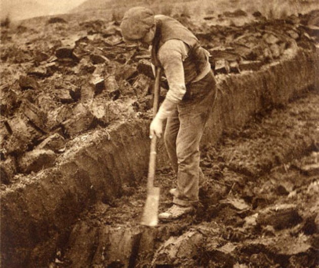 Digging peat
