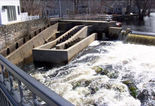 Fish ladders on the Ipswich River
