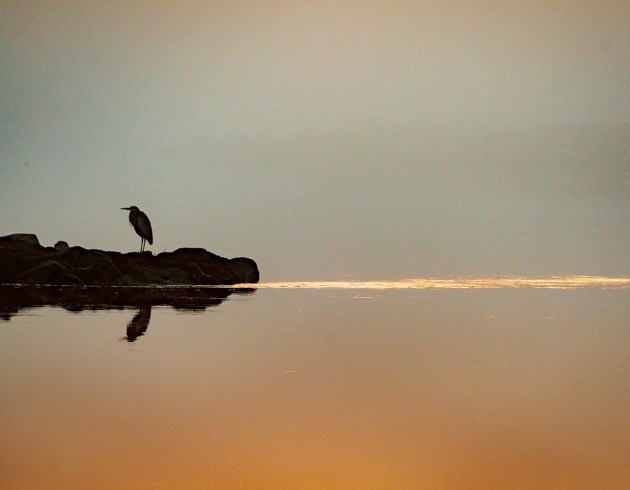 Photos from Ipswich, Massachusetts by David "Stoney" Stone. © 2026