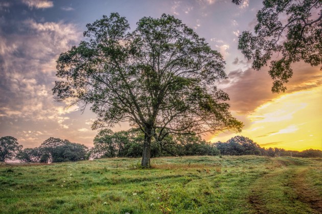 Photos from Ipswich, Massachusetts by David "Stoney" Stone. © 2026