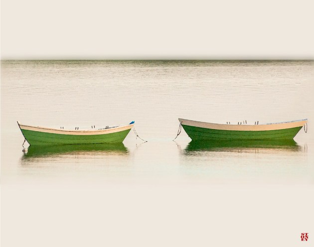 Photos from Ipswich, Massachusetts by David "Stoney" Stone. © 2026