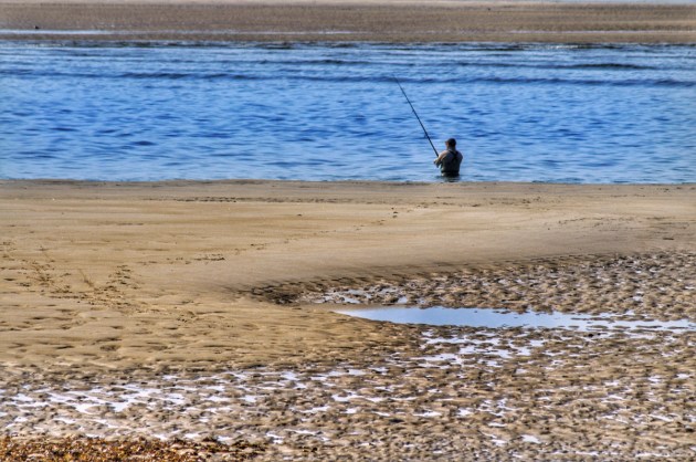 Photos from Ipswich, Massachusetts by David "Stoney" Stone. © 2026