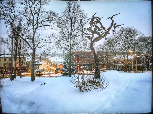 Photos from Ipswich, Massachusetts by David "Stoney" Stone. © 2026