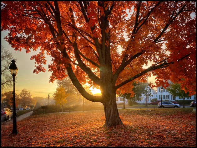 Photos from Ipswich, Massachusetts by David "Stoney" Stone. © 2026