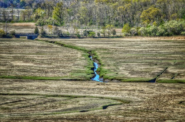 Photos from Ipswich, Massachusetts by David "Stoney" Stone. © 2026
