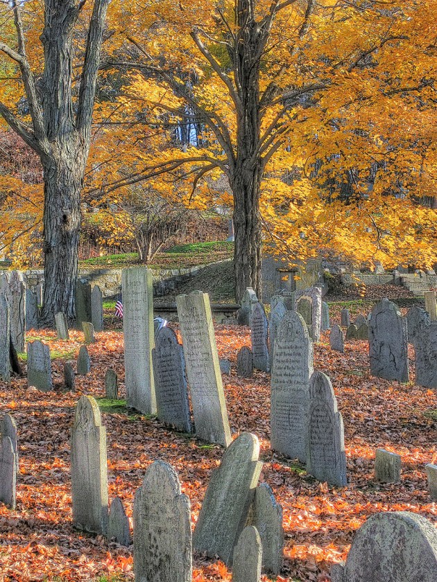 Photos from Ipswich, Massachusetts by David "Stoney" Stone. © 2026