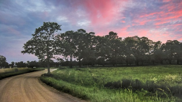 Photos from Ipswich, Massachusetts by David "Stoney" Stone. © 2026