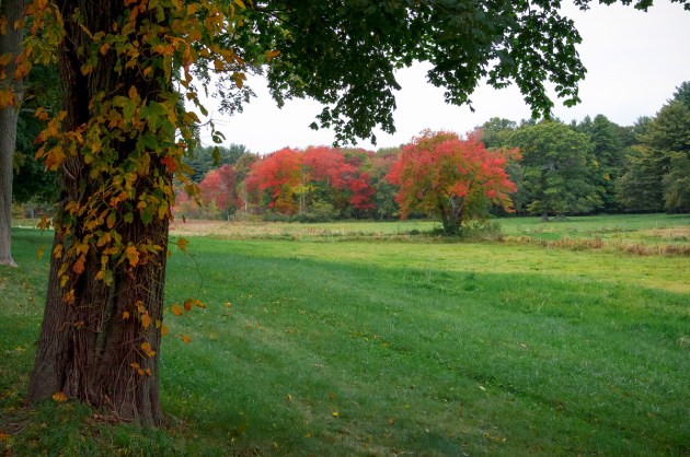 Photos from Ipswich, Massachusetts by David "Stoney" Stone. © 2026