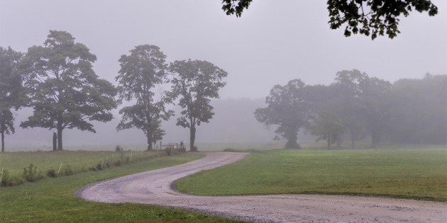 Photos from Ipswich, Massachusetts by David "Stoney" Stone. © 2026