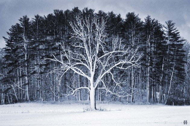 Photos from Ipswich, Massachusetts by David "Stoney" Stone. © 2026