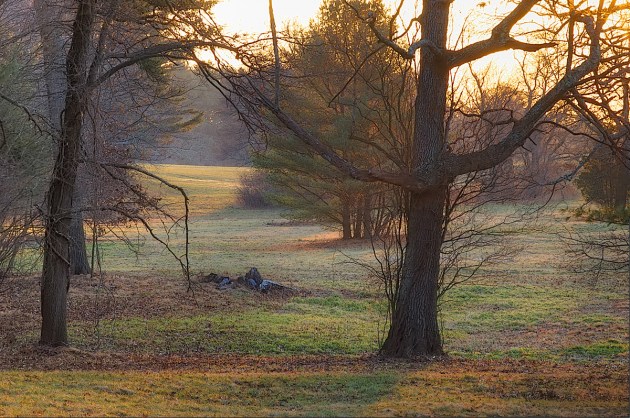 Photos from Ipswich, Massachusetts by David "Stoney" Stone. © 2026