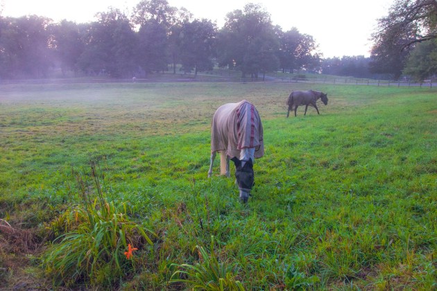 Photos from Ipswich, Massachusetts by David "Stoney" Stone. © 2026