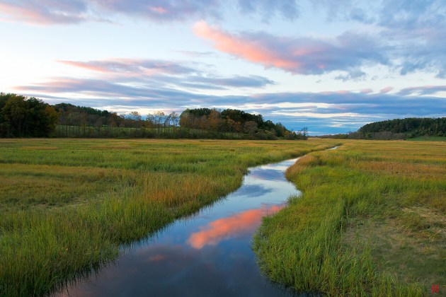 Photos from Ipswich, Massachusetts by David "Stoney" Stone. © 2026