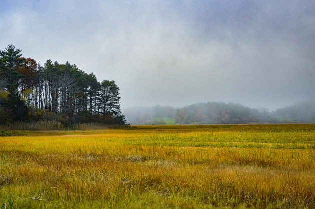 Photos from Ipswich, Massachusetts by David "Stoney" Stone. © 2026