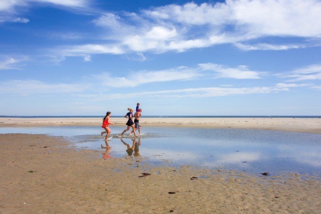 Photos from Ipswich, Massachusetts by David "Stoney" Stone. © 2026