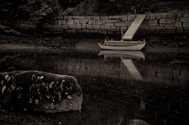 Photos from Ipswich, Massachusetts by David "Stoney" Stone. © 2026