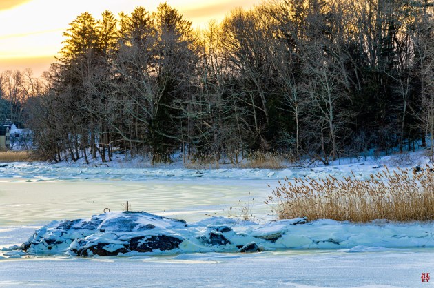 Photos from Ipswich, Massachusetts by David "Stoney" Stone. © 2026