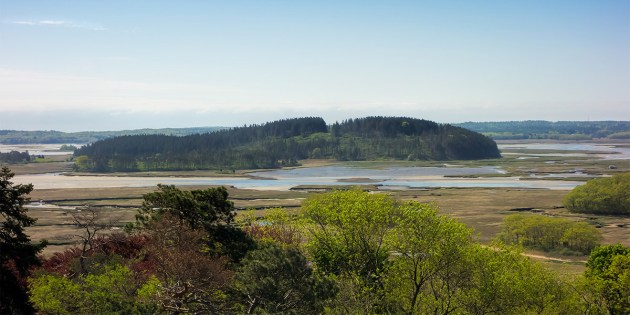 Photo of Ipswich, Massachusetts by David "Stoney" Stone. © 2026