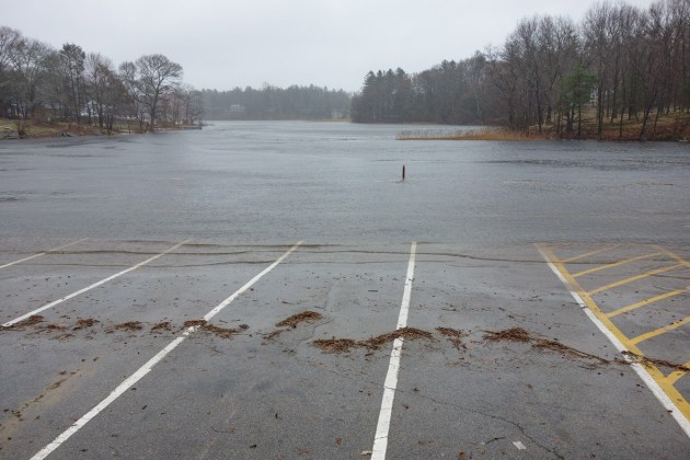 Photos from Ipswich, Massachusetts by David "Stoney" Stone. © 2026