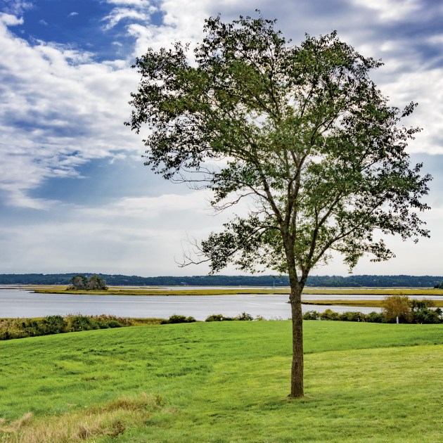 Photos from Ipswich, Massachusetts by David "Stoney" Stone. © 2026