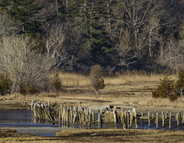 Photos from Ipswich, Massachusetts by David "Stoney" Stone. © 2026