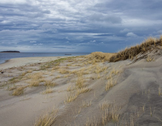 Photos from Ipswich, Massachusetts by David "Stoney" Stone. © 2026