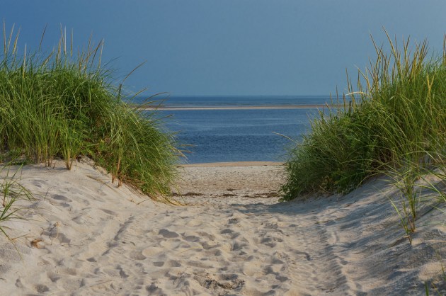 Photos from Ipswich, Massachusetts by David "Stoney" Stone. © 2026