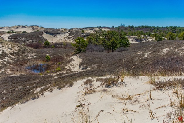 Photo of Ipswich, Massachusetts by David "Stoney" Stone. © 2026