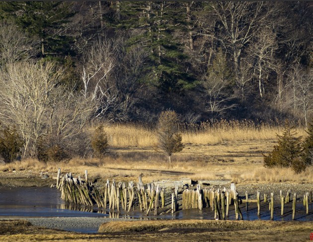 Photo of Ipswich, Massachusetts by David "Stoney" Stone. © 2026