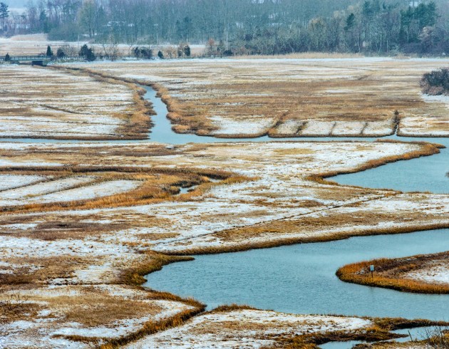 Photos from Ipswich, Massachusetts by David "Stoney" Stone. © 2026