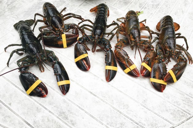 Photo of Ipswich, Massachusetts by David "Stoney" Stone. © 2026