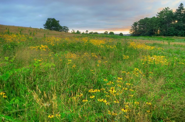 Photo of Ipswich, Massachusetts by David "Stoney" Stone. © 2026