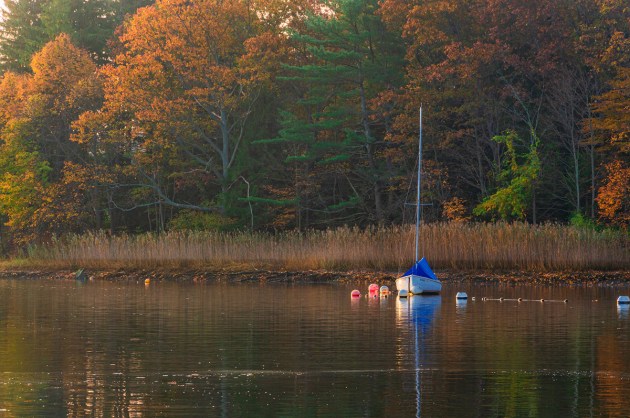 Photos from Ipswich, Massachusetts by David "Stoney" Stone. © 2026
