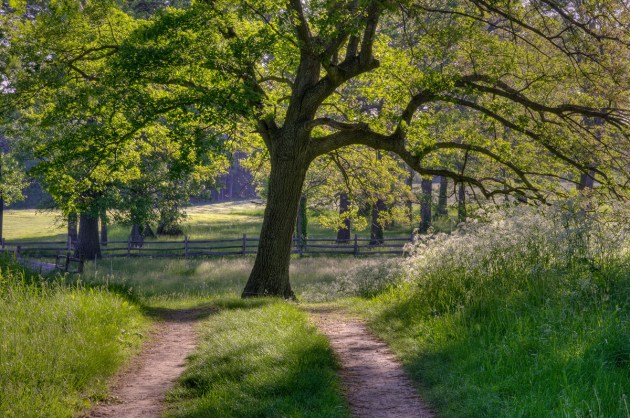 Photo of Ipswich, Massachusetts by David "Stoney" Stone. © 2026