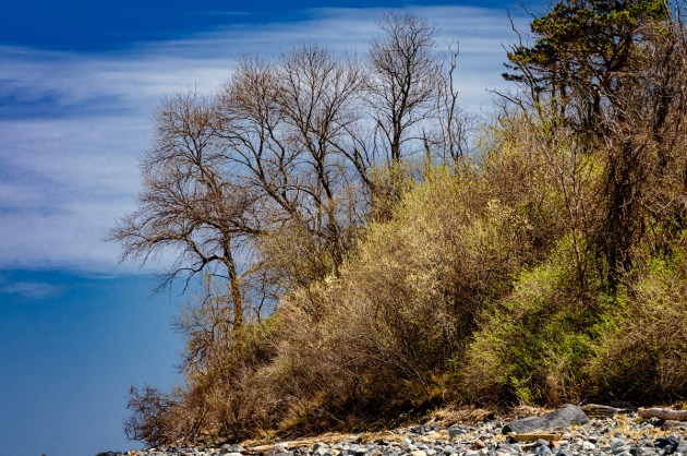 Photo of Ipswich, Massachusetts by David "Stoney" Stone. © 2026