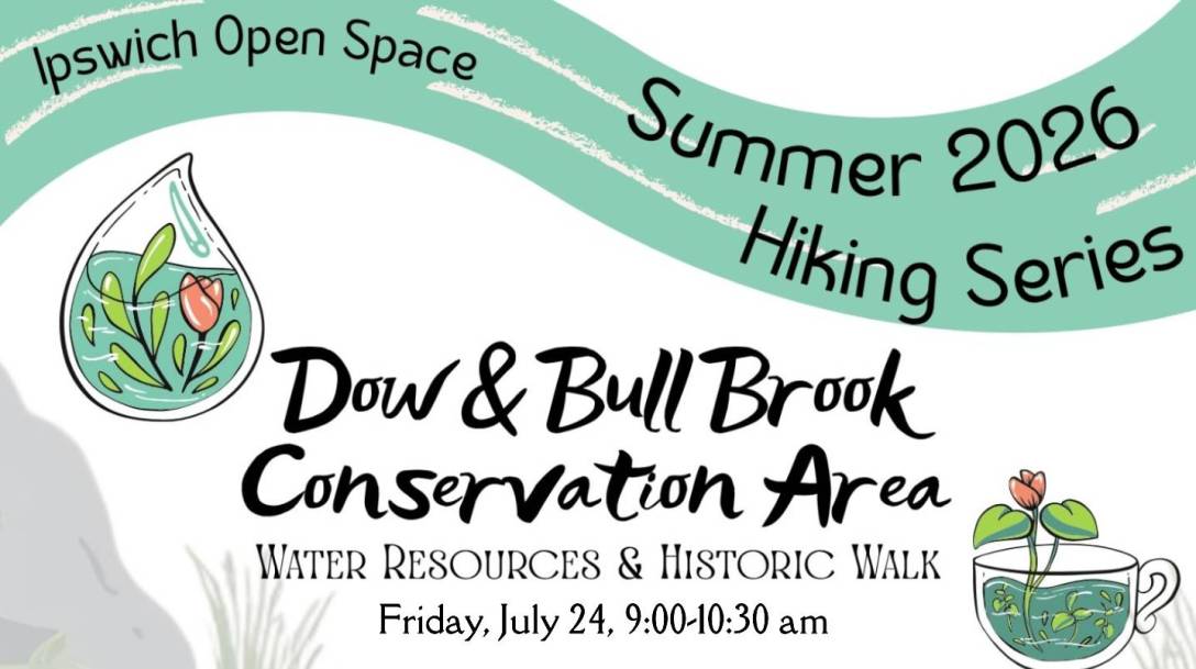 Dow Brook and Bull Brook, Ipswich MA